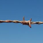 Asking the Right Questions About Immigration