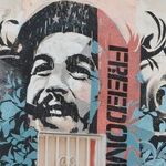 Julius Malema and the Deliberate Malevolence of Marxism