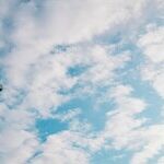Christians Are Not the Enemy