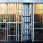 Hail to the Jailbird President