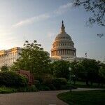 Tax the Rich or Discipline the Government?