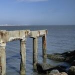 For Disaster Recovery, the Best Knowledge Is Local Knowledge