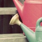 Carried Interest Tax to Carry Water for Reform?