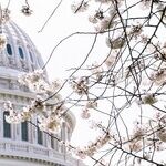 We Need a New Base Realignment and Closure Commission -- Not a New Bureaucracy
