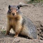 It's Groundhog Day All Over Again in Washington