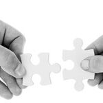 Are You Down on the American Economic System? Think About Cooperation.