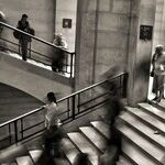 The Surprising, Uplifting Truth About Inequality