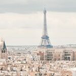 America, France, and the Free Market