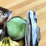 The Government Shutdown That Democrats Love