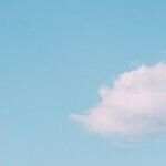 At America's 250th Birthday, Democrats Want a Different Country