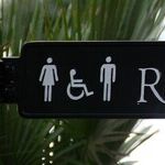 Transgender Flight from Reality