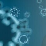 Staying Free and Faithful in a Pandemic
