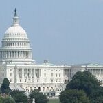 Democratic Politicking Kills Police Reform