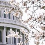 Democrats Spend Big, and We Pay, for Their Socialist Dream