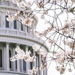 The Political Center Is Gone