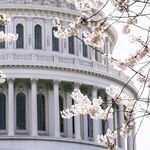 What's Jan. 6 Really About?