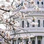 T.W. Shannon, a Leader We Need in Washington