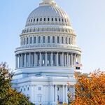 Kevin McCarthy Is Not the Problem