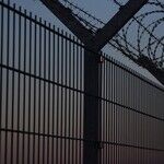 Securing Our Border at Home, Defending Our Values Globally