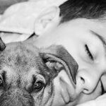 Political Unrest and a Boy Allergic to His Pet
