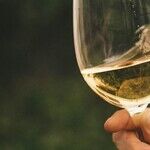 Older White Wines