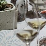 The Wine Society