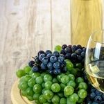 Wine True or False