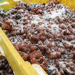Ice Wines