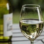 Sauvignon Blanc