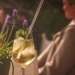 Free Wine