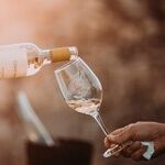 Tasting Room Etiquette