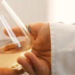 The Greatness of Sauvignon Blanc