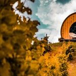 Visiting Wine Country