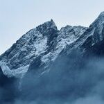New Zealand Primer