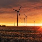 Europe's Lesson Teaches Us: Don't Go Green