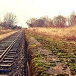 Government Makes the Poor Poorer