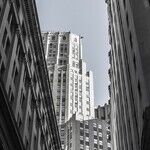 Understanding the Trump Trade Doctrine