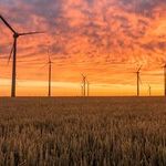 Fake Support for a Free Market In Energy