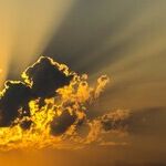 Let the Sunshine in at the Federal Reserve