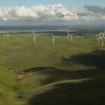The Carbon Tax Fantasy