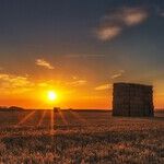 The Fed Hurts Farmers More Than China Does