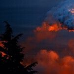 Trump Will Win by Giving Them Hell