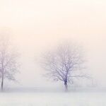 Climate Change Alarmism Takes Another Big Hit