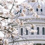Why Did Biden Census Bureau Add 2.5 Million More Residents to Blue-State Population Count?