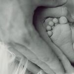 Suddenly, 'The Population Bomb' Is a Population Bust