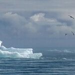 The End of the Climate Change Legend