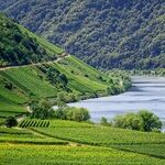 How Angela Merkel's Green Agenda Caused the Economic Collapse of Germany