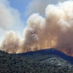 Is Modern Environmentalism a Pagan Religion?
