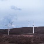 Green Groups Are No Longer Promoting a Cleaner Environment