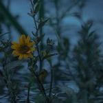 Ways to Face Hard Times